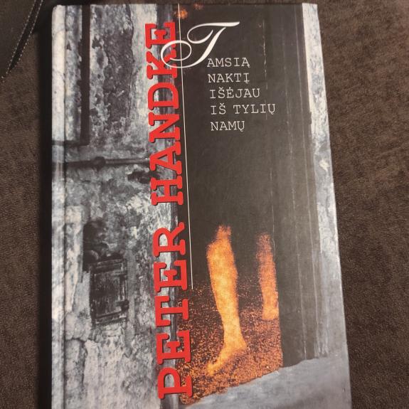 Tamsią naktį išėjau iš tylių namų