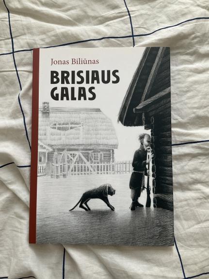 Brisiaus galas - Jonas Biliūnas, knyga