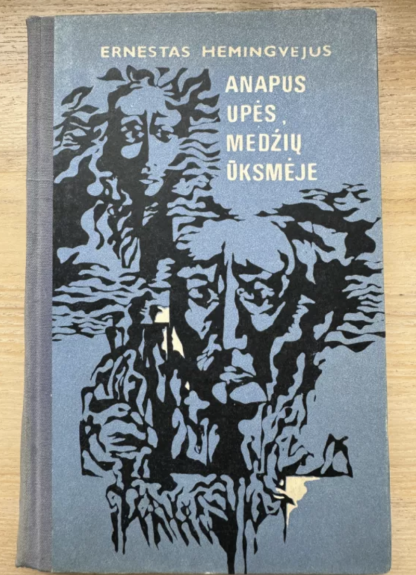 Anapus upės medžių ūksmėje