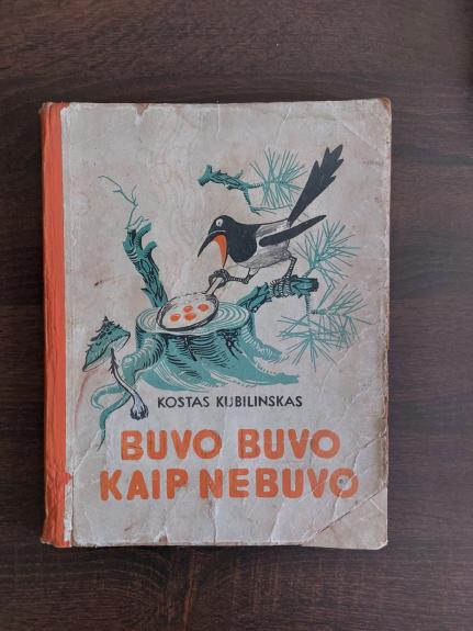 Buvo buvo, kaip nebuvo - Kostas Kubilinskas, knyga 1