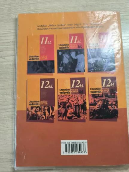 Lietuvių literatūros konspektas abiturientui 2004