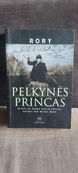 Pelkynės princas ir kiti su darbu susiję pavojai, patirti per metus Irake