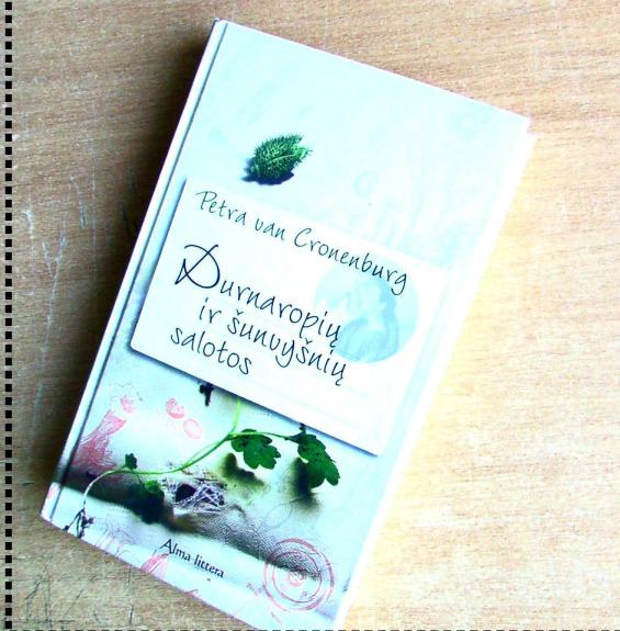 Durnaropių ir šunvyšnių salotos