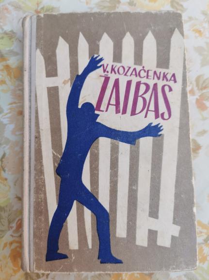 Žaibas - Vasilis Kozačenka, knyga
