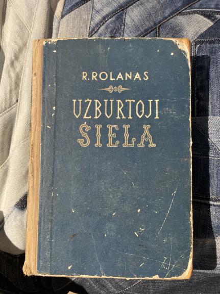 Užburtoji siela - Romenas Rolanas, knyga 1