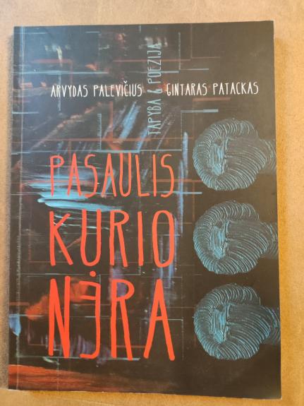 Pasaulis kurio nėra