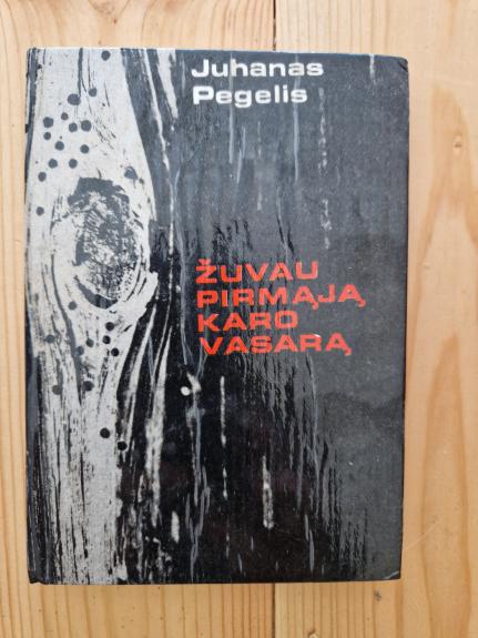 Žuvau pirmąją karo vasarą