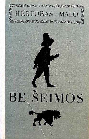 Be šeimos - Hektoras Malo, knyga