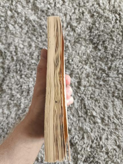 Goblinų veidrodis (147)