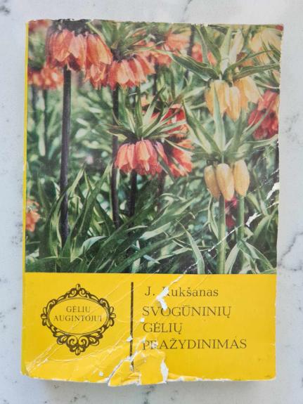 Svogūninių gėlių pražydinimas