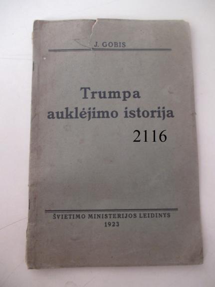 Trumpa auklėjimo istorija