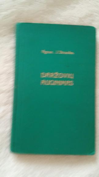 Daržovių auginimas