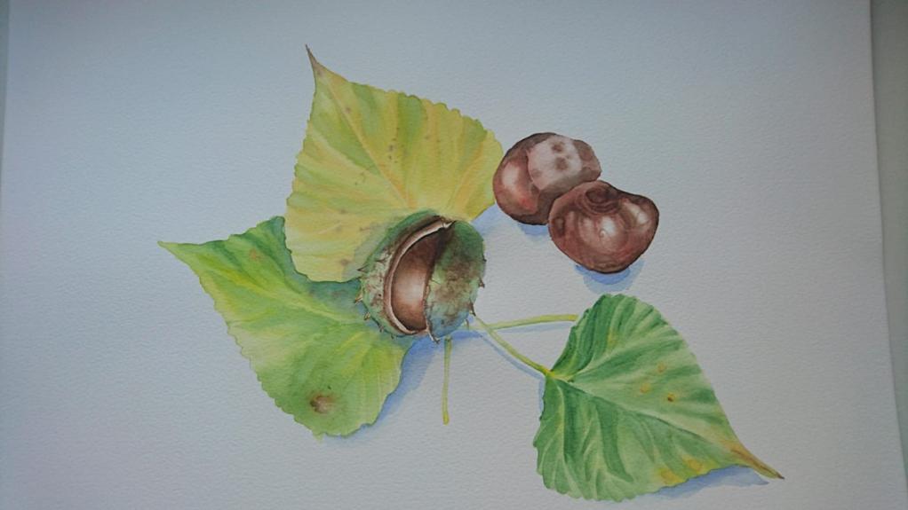 Kaštonai (akvarelė, A3 formatas)