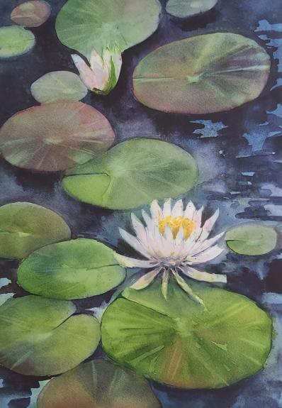 Lelijos (akvarelė, A3 formatas)