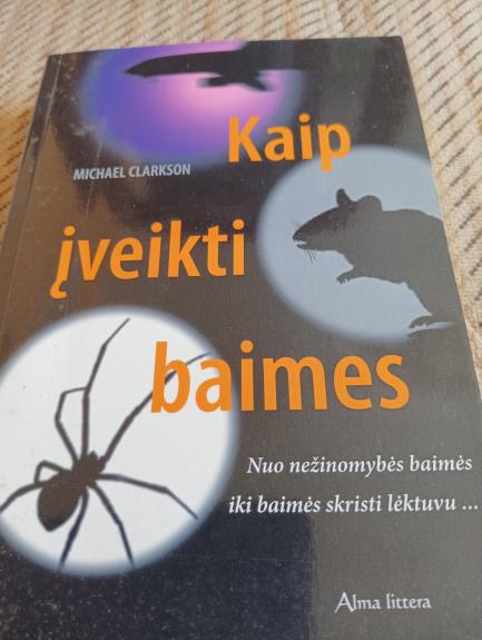 Kaip įveikti baimes: nuo nežinomybės baimės iki baimės skristi lėktuvu... - Michael Clarkson, knyga