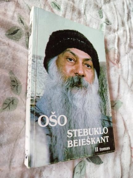 Stebuklo beieškant (2 tomas)