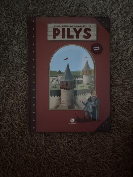 Lietuvos Didžiosios Kunigaikštystės pilys