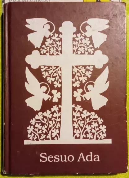 Sesuo Ada. Pašaukta ginti Tautos sielą - Autorių Kolektyvas, knyga