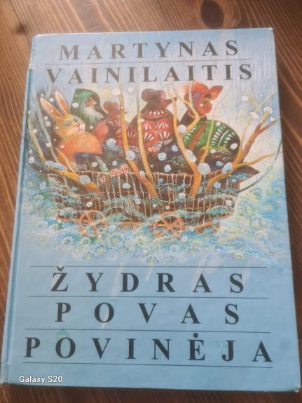 Žydras povas povinėja