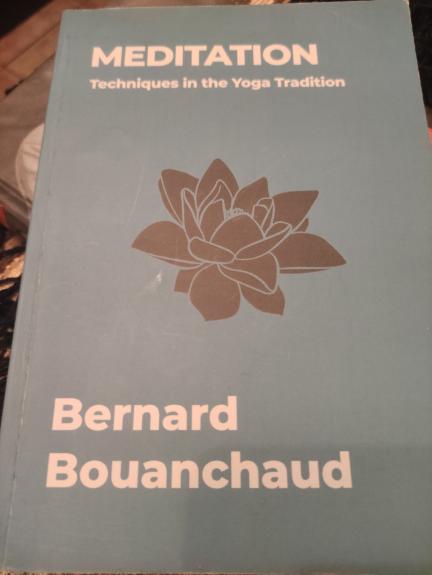 Meditation Techniques in the Yoga Tradition