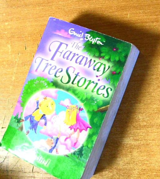 The Faraway Tree Stories: Three Books in One