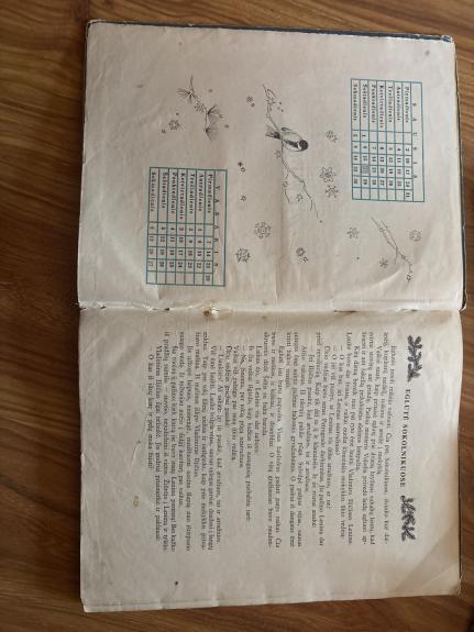 Mūsų metai 1955 - Autorių Kolektyvas, knyga 1