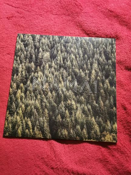 Kamanių Šilelis - Namai - Kamanių Šilelis, plokštelė 1