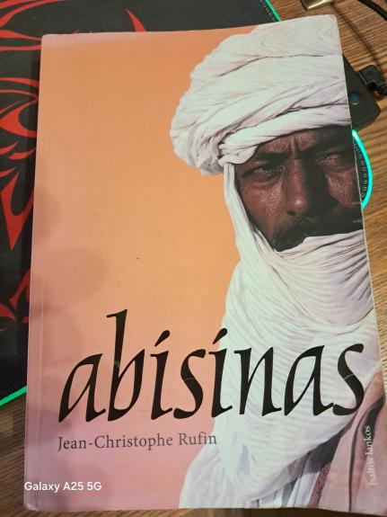 Abisinas - Jean-Christophe Rufin, knyga