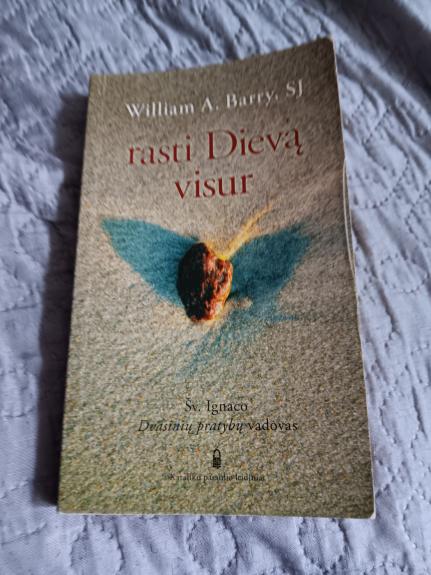 Rasti Dievą visur - William A. Barry, SJ, knyga