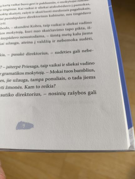 Slieko pasaka - Rimantas Černiauskas, knyga 1
