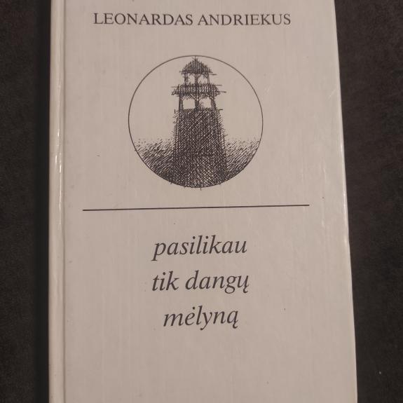 Pasilikau tik dangų mėlyną