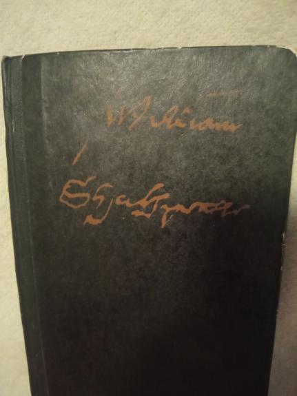 Hamletas - Viljamas Šekspyras, knyga 1