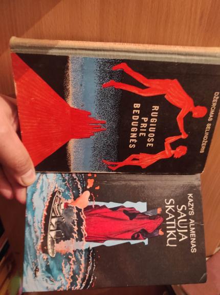 Rugiuose prie bedugnės - Džeromas Selindžeris, knyga