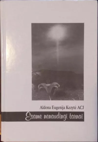 Esame nenaudingi tarnai