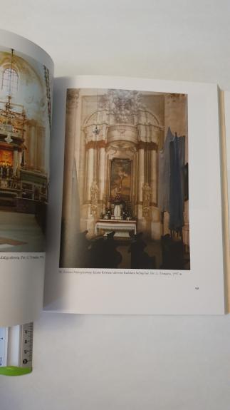 XVIII a. SIENŲ TAPYBA - Dalia Klajumienė, knyga 1