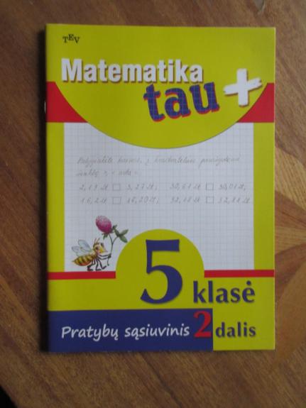 Matematika tau 5 klasė. Pratybų sąsiuvinis 2 dalis