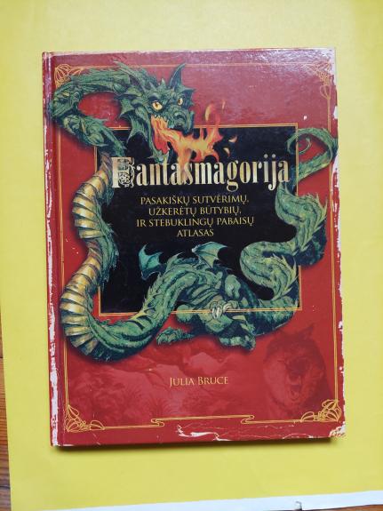 Fantasmagorija - Julia Bruce, knyga 1