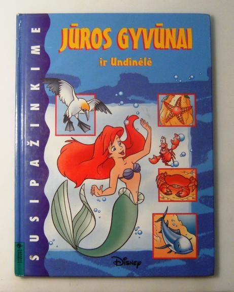 Jūros gyvunai ir undinėlė