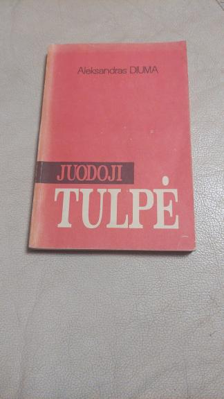 Juodoji tulpė
