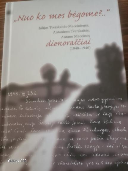 Nuo ko mes bėgome?.. - Autorių Kolektyvas, knyga