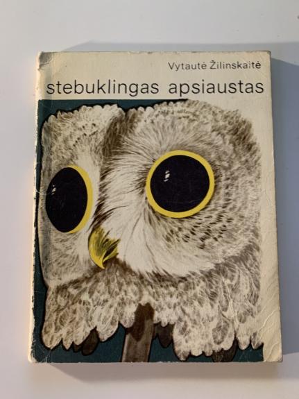 Stebuklingas apsiaustas - Vytautė Žilinskaitė, knyga