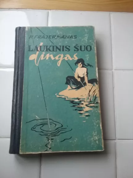 Laukinis šuo Dingas, arba apysaka apie pirmąją meilę - Ruvimas Frajermanas, knyga