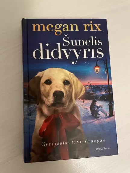 Šunelis didvyris - Megan Rix, knyga 1