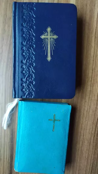 Maldynėlis - V.A. Kazlauskas, knyga 1