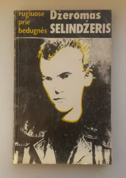 Rugiuose prie bedugnės - Džeromas Selindžeris, knyga