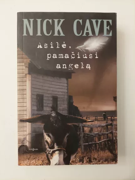 Asilė, pamačiusi angelą