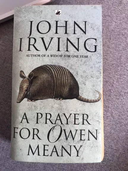 A prayer for Owen Meany