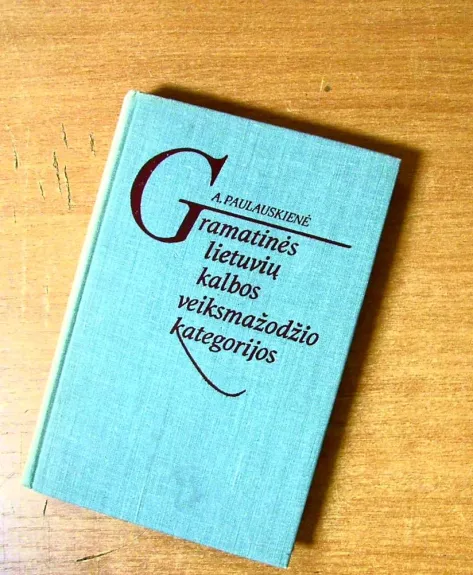 Gramatinės lietuvių kalbos veiksmažodžio kategorijos