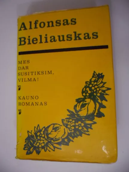 Mes dar susitiksim Vilma! Kauno romanas