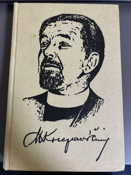 Mykolas Krupavičius - Petras Maldeikis, knyga